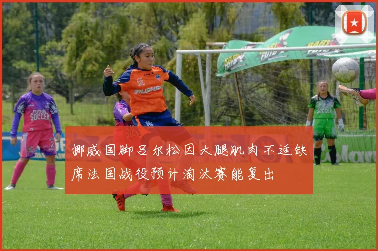 挪威国脚吕尔松因大腿肌肉不适缺席法国战役预计淘汰赛能复出