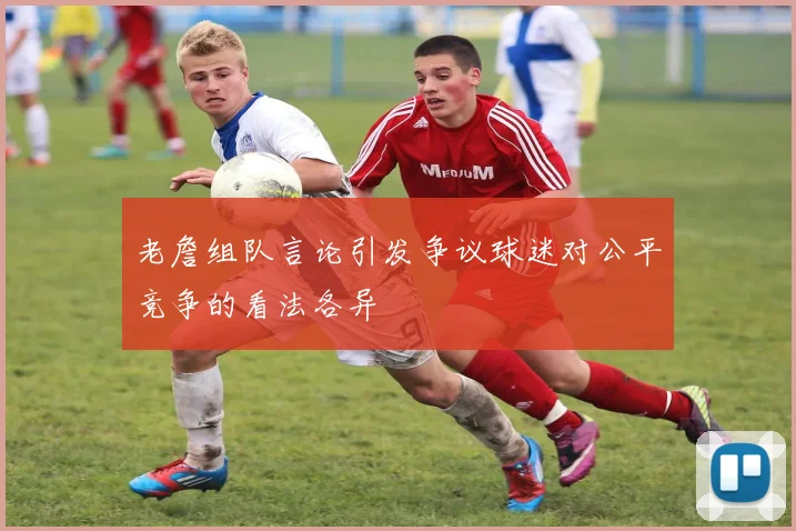 老詹组队言论引发争议球迷对公平竞争的看法各异