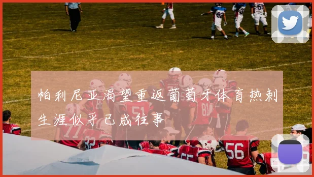 帕利尼亚渴望重返葡萄牙体育热刺生涯似乎已成往事