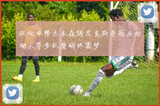 双向中锋杰米森随尼克斯夺冠历经湖人等多队磨砺终圆梦