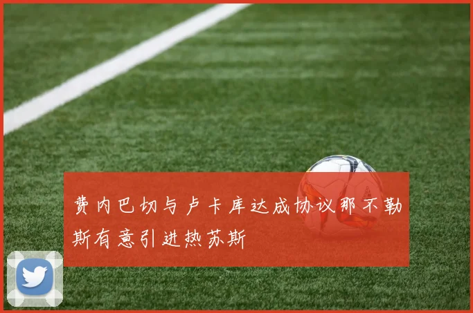 费内巴切与卢卡库达成协议那不勒斯有意引进热苏斯